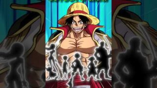 All Known Members of JOY BOY's Crew in One Piece