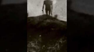 Attack on titan historical footage #capcut #edit #anime #animeedit #aot #attackontitan #historical