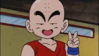 Dragon Ball's 6th Arc  The 22nd World Martial Arts Tournament