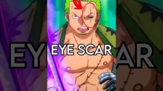 How Zoro got his Eye Scar | One Piece