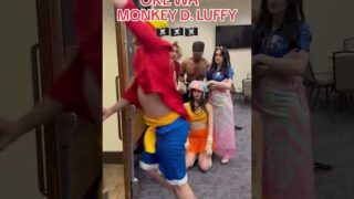 Monkey D. LEROY JENKINS #onepiece #anime #cosplay #luffy