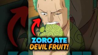 Top 3 Best Devil fruits for Zoro! One Piece Explained #onepiece #shorts