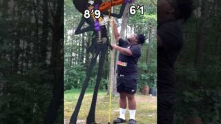 Why Are One Piece Characters So TALL? (Part 5) #onepiece #shorts