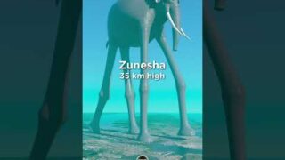 Zunesha (One Piece) in perspective! 35 km 🤯🐘